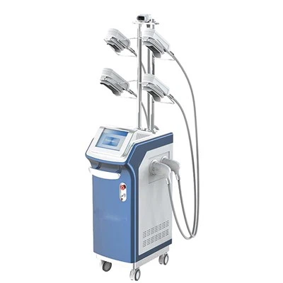 Geriausias profesionalus riebalų šaldymo aparatas